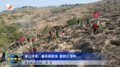 淋山河镇：春风催新绿 植树正当时