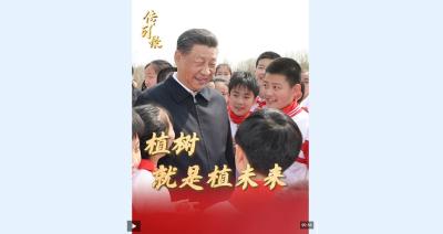 传习录丨种下的是树苗，也是祖国的美好未来