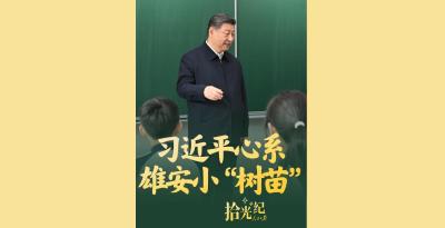 拾光纪·习近平心系雄安小“树苗”