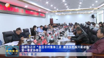县政协召开“盘活农村集体三资 激活乡村振兴新动能”第一季度协商会