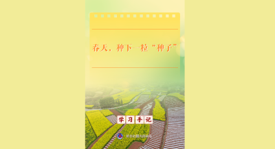学习手记｜春天，种下一粒“种子”