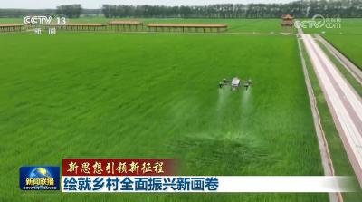 【新思想引领新征程】绘就乡村全面振兴新画卷