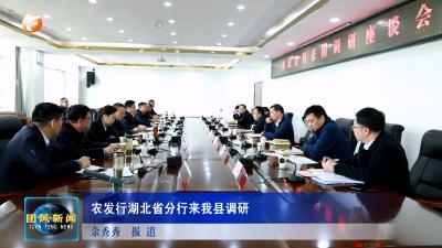 农发行湖北省分行来我县调研