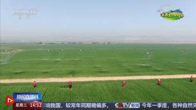 科技“组合拳”保障智慧大棚“四季如春” “菜园子”焕发现代农业新活力