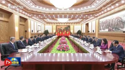 习近平同越共中央总书记、国家主席苏林举行会谈