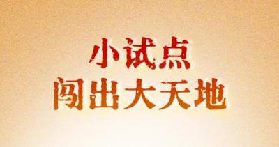 人民之心丨小试点闯出大天地
