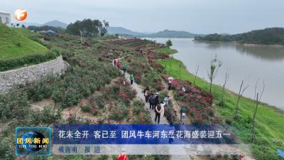 花未全开 客已至 团风牛车河东岳花海盛装迎五一