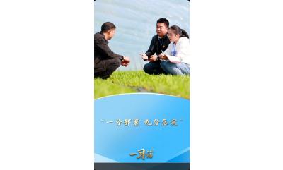 一习话·人民之心丨“一分部署，九分落实”