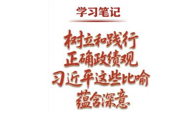 学习笔记丨树立和践行正确政绩观，习近平这些比喻蕴含深意