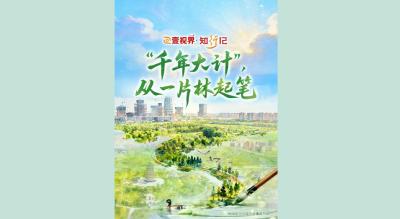 壹视界·知行记｜“千年大计”，从一片林起笔