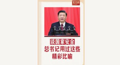 此行间·谈国家安全，总书记用过这些精彩比喻