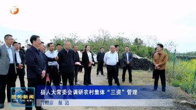 县人大常委会调研农村集体“三资”管理