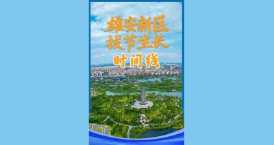 雄安新区拔节生长时间线