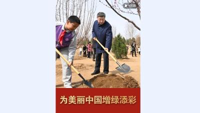 微视频｜为美丽中国增绿添彩