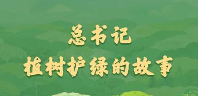 学习新语｜总书记植树护绿的故事