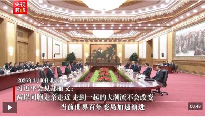 独家视频丨习近平会见郑丽文：两岸同胞走亲走近 走到一起的大潮流不会改变