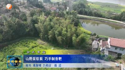 食在贾庙  山野采软萩 巧手制香粑