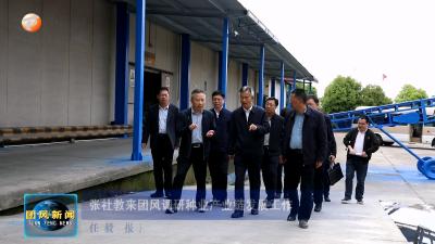 张社教来团风调研种业产业链发展工作