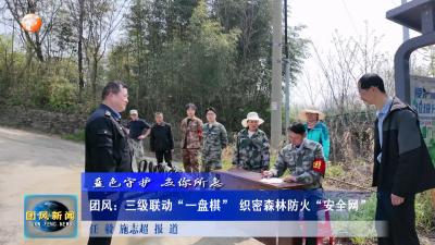 蓝色守护 应你所急  团风：三级联动“一盘棋” 织密森林防火“安全网”