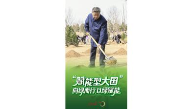 一见·“赋能型大国”，向绿而行、以绿赋能