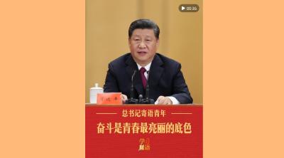 学习新语｜奋斗是青春最亮丽的底色