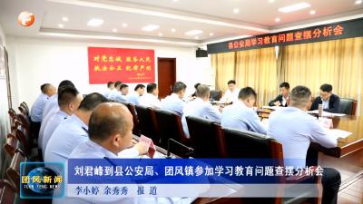 刘君峰到县公安局、团风镇参加学习教育问题查摆分析会