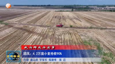 我为群众办实事  团风：4.2万亩小麦抢收90%