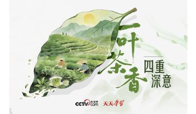 天天学习｜一叶茶香 四重深意