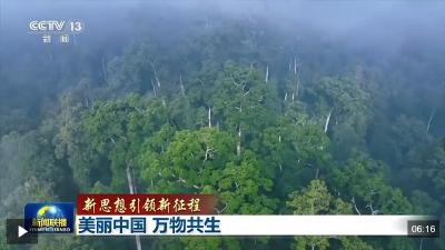 新思想引领新征程丨美丽中国 万物共生
