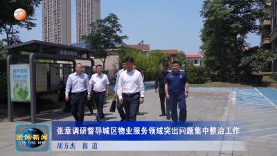 张章调研督导城区物业服务领域突出问题集中整治工作