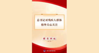 学习手记 | 总书记对残疾人群体格外关心关注