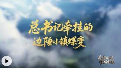 学习·故事丨总书记牵挂的边陲小镇蝶变