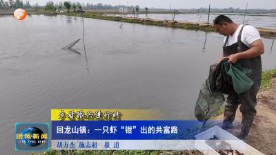乡村振兴进行时  回龙山镇：一只虾“钳”出的共富路