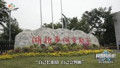 一线观察丨东湖实验室：巨轮装上“智慧脑” 江海扬起“中国帆”