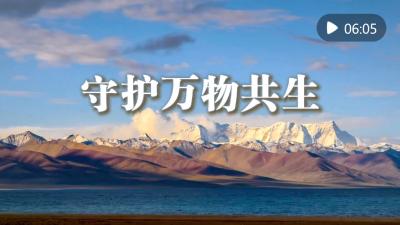 微视频｜守护万物共生