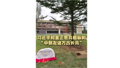 近镜头｜习近平和金正恩共植枞树