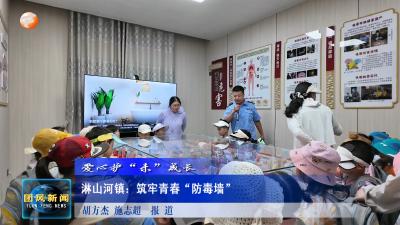 爱心护“未”成长  淋山河镇：筑牢青春“防毒墙” 