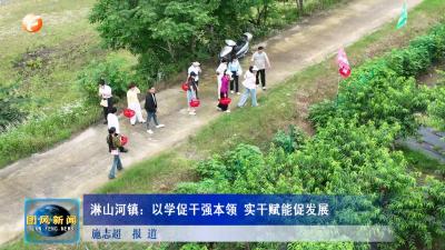 淋山河镇：以学促干强本领 实干赋能促发展