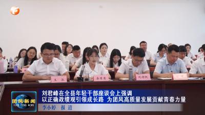 刘君峰在全县年轻干部座谈会上强调 以正确政绩观引领成长路 为团风高质量发展贡献青春力量