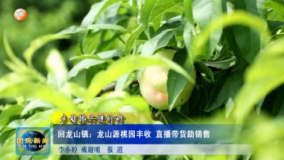 乡村振兴进行时  回龙山镇：龙山源桃园丰收 直播带货助销售