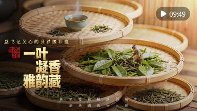 总书记关心的世界级非遗｜一叶凝香雅韵藏