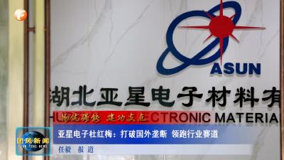 扬优强能 建功支点 亚星电子杜红梅：打破国外垄断 领跑行业赛道
