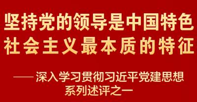 深入学习贯彻习近平党建思想系列述评之一