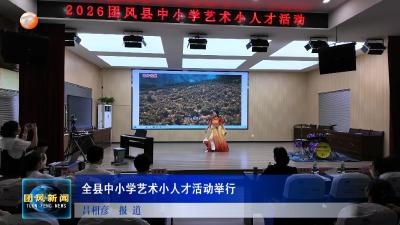 全县中小学艺术小人才活动举行