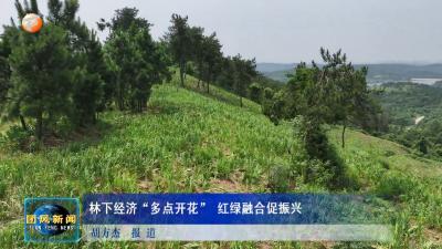 林下经济“多点开花” 红绿融合促振兴