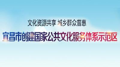 宜昌市创建国家公共文化服务体系示范区