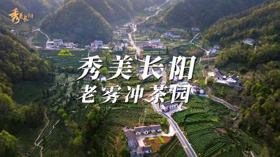 【秀美长阳】宜昌最美茶园——老雾冲茶园等你来采茶 