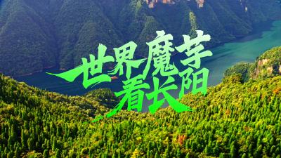 小魔芋，大魔力。世界魔芋看长阳！