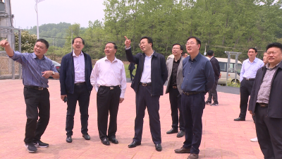 王鹏调研美丽乡村建设
