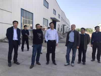 王鹏等县领导调研督办我县重点项目建设